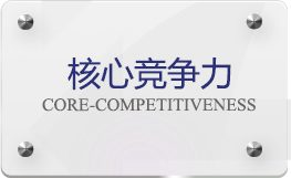 核心竞争力